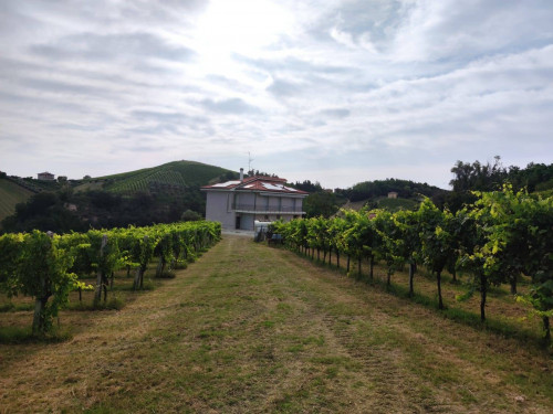 Casa cielo - terra in vendita a Cossignano