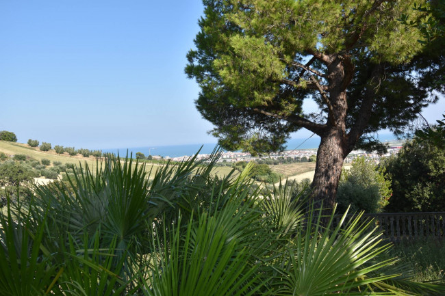 Villa singola in vendita a San Benedetto del Tronto