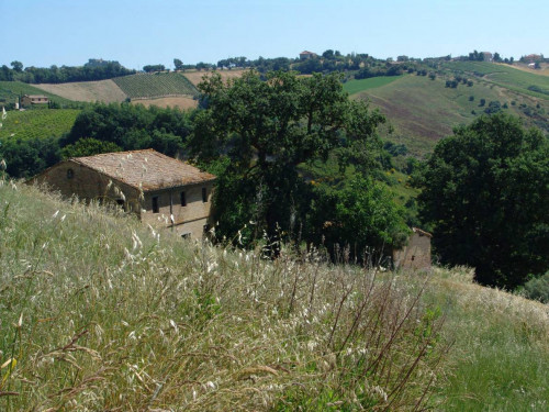 Casale Colonico in vendita a Acquaviva Picena