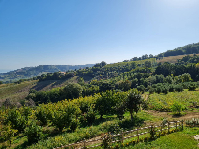 Rustico in vendita a Ripatransone (AP)