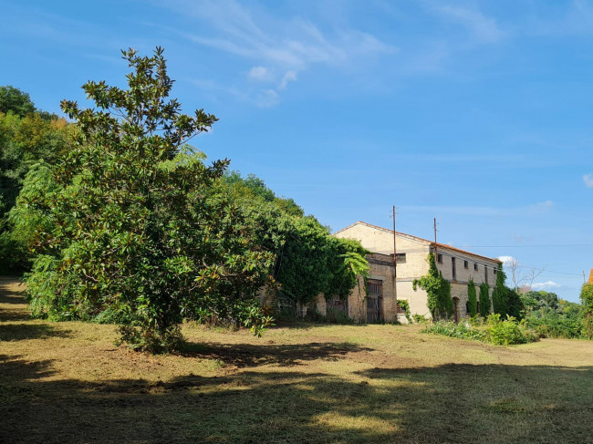 Casale Colonico in vendita a Ripatransone