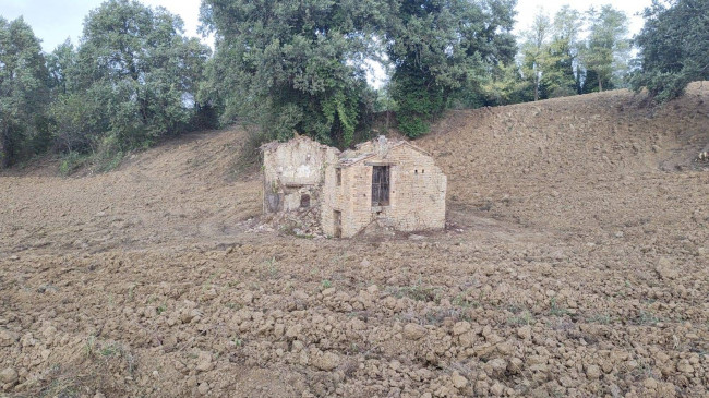 Casale Colonico in vendita a Force