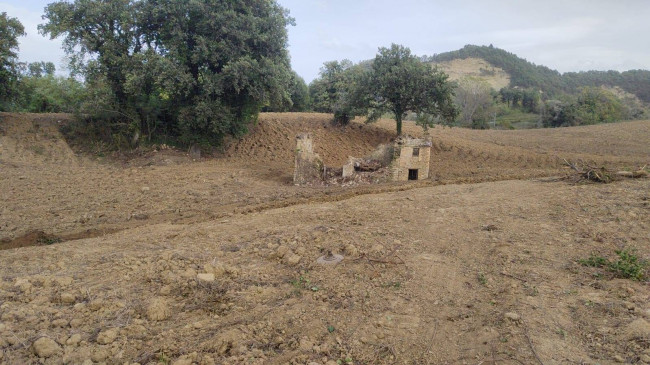 Casale Colonico in vendita a Force