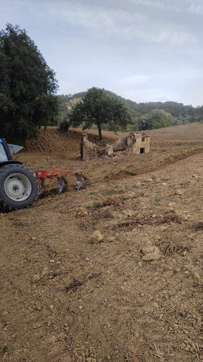 Casale Colonico in vendita a Force