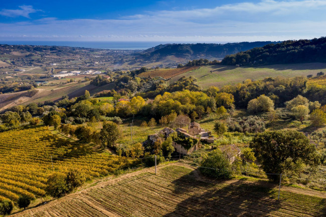 Casale Colonico in vendita a Ripatransone