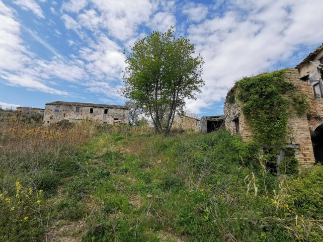 Casale Colonico in vendita a Ripatransone