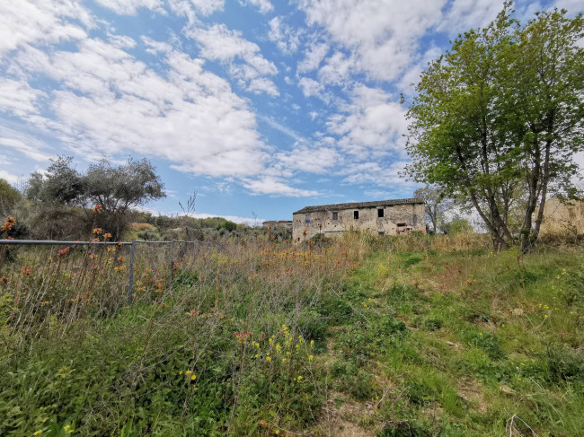 Casale Colonico in vendita a Ripatransone