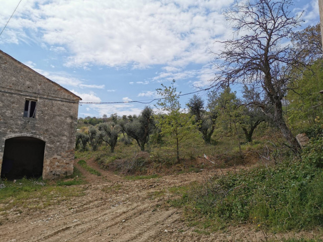 Casale Colonico in vendita a Ripatransone