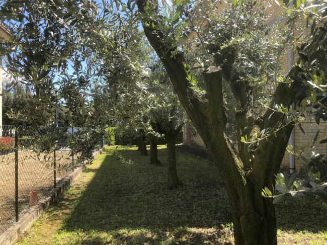 Casa cielo - terra in vendita a Ortezzano