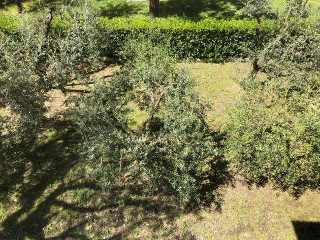 Casa cielo - terra in vendita a Ortezzano