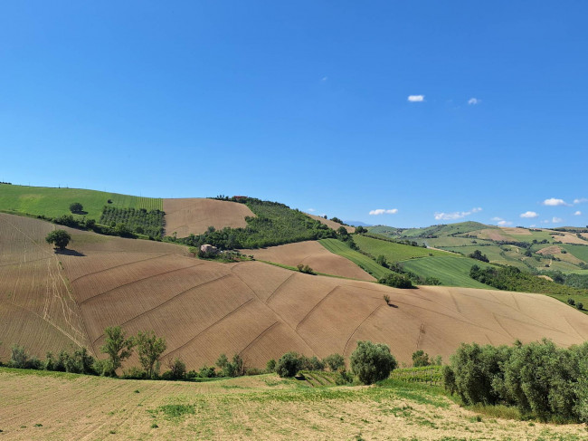 Terreno Agricolo in vendita a Ripatransone