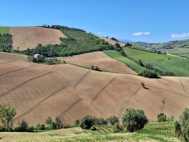 Terreno Agricolo in vendita a Ripatransone