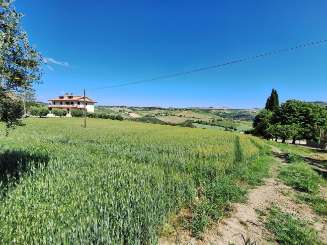 Terreno Agricolo in vendita a Ripatransone