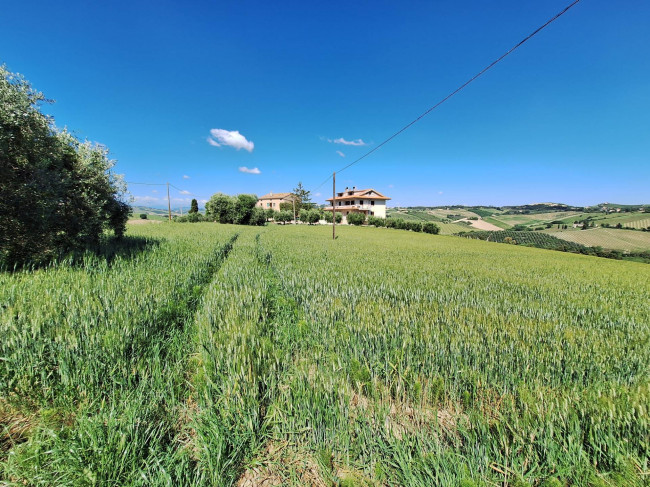 Terreno Agricolo in vendita a Ripatransone