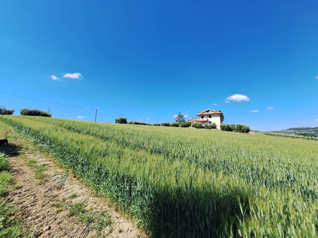 Terreno Agricolo in vendita a Ripatransone