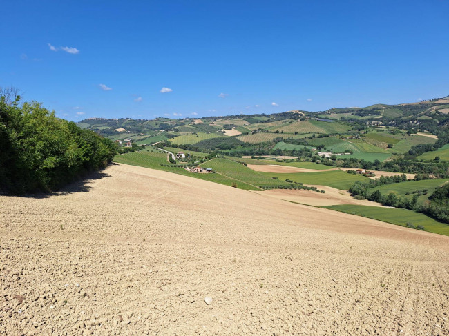 Terreno Agricolo in vendita a Ripatransone