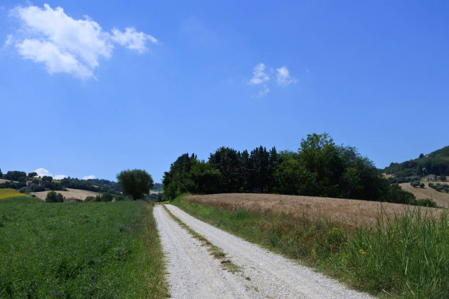 Casale Colonico in vendita a Castignano