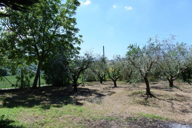 Casale Colonico in vendita a Castignano