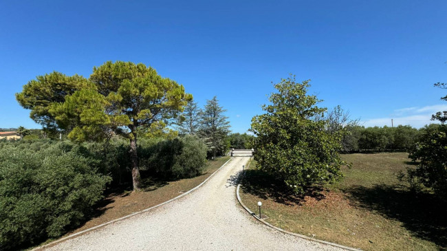 Villa singola in vendita a Cupra Marittima