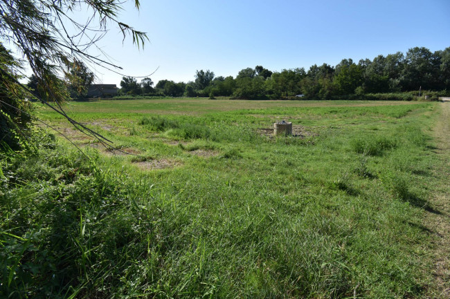 Casale Colonico in vendita a Controguerra