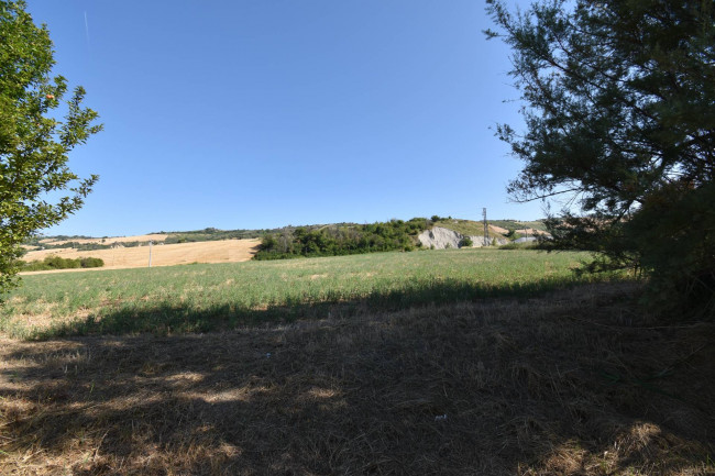 Casale Colonico in vendita a Controguerra