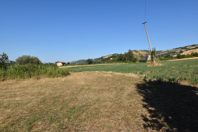 Casale Colonico in vendita a Controguerra