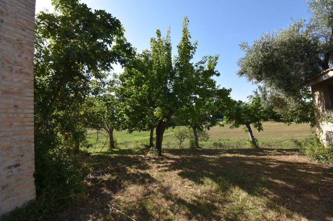 Casale Colonico in vendita a Controguerra