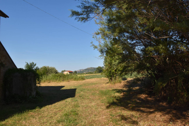 Casale Colonico in vendita a Controguerra