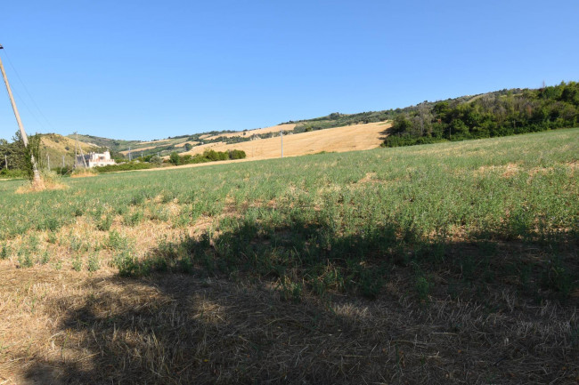 Casale Colonico in vendita a Controguerra