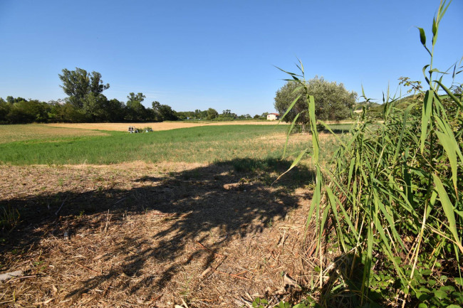 Casale Colonico in vendita a Controguerra