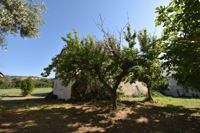 Casale Colonico in vendita a Controguerra