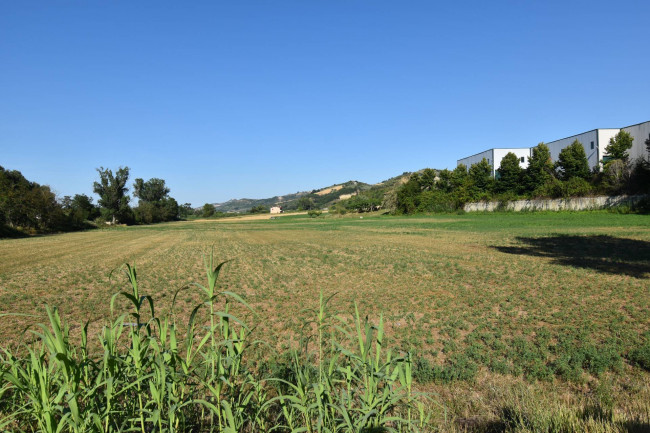 Casale Colonico in vendita a Controguerra