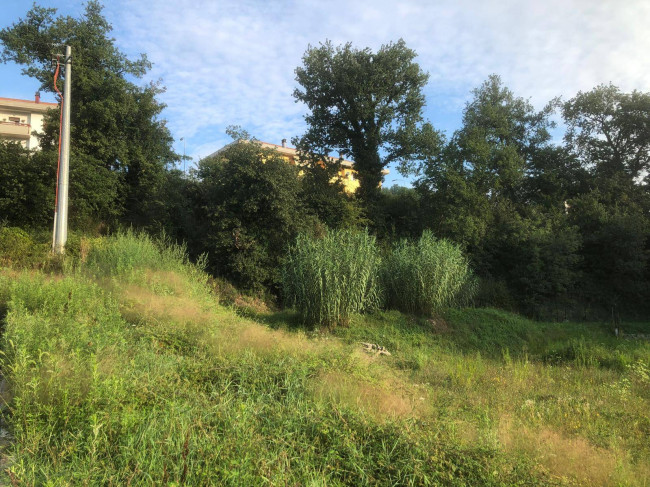 Terreno Edificabile Residenziale in vendita a Comunanza