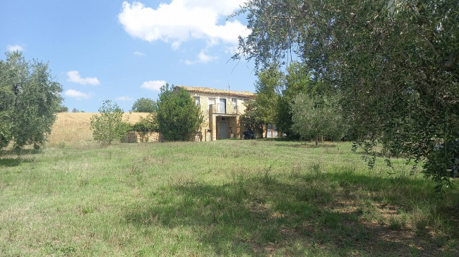 Casale Colonico in Vendita a Offida