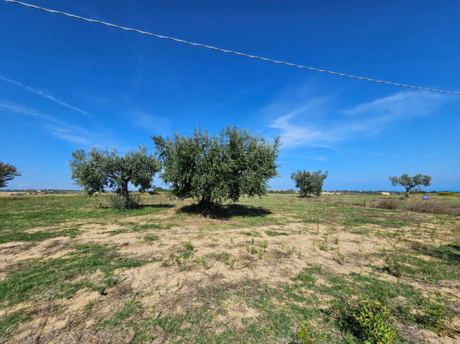 Rustico in vendita a Massignano (AP)