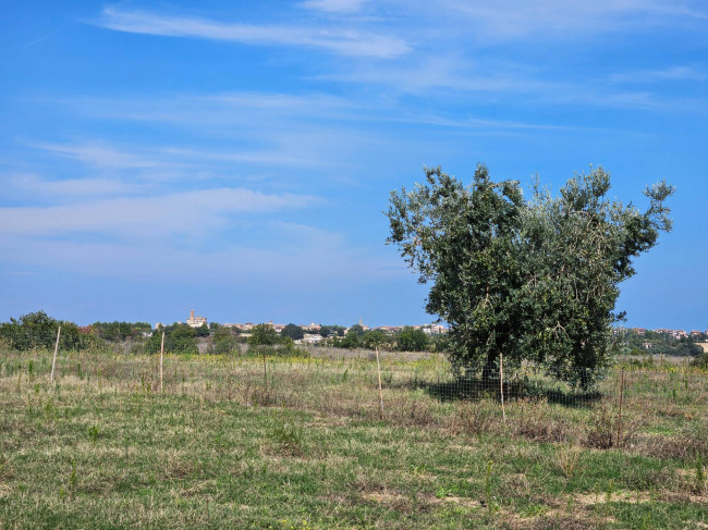 Rustico in vendita a Massignano (AP)