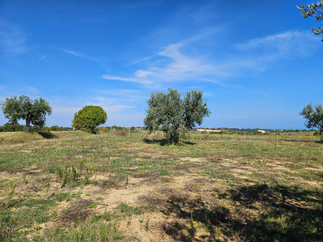 Rustico in vendita a Massignano (AP)