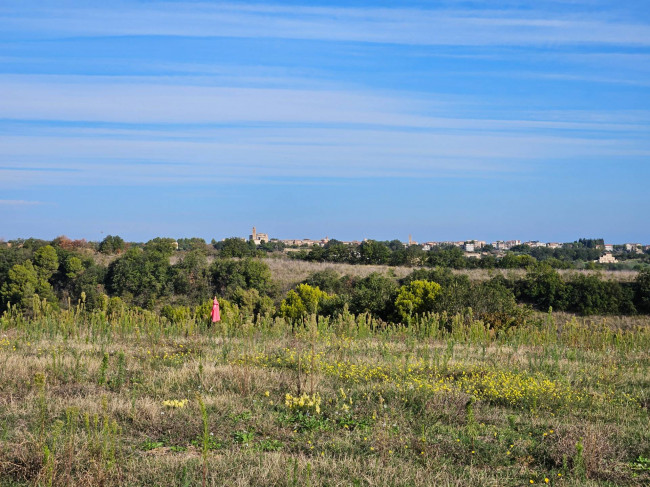 Rustico in vendita a Massignano (AP)