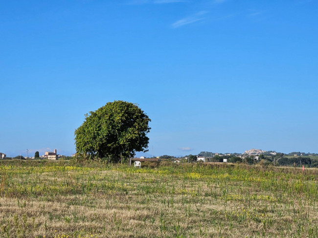 Rustico in vendita a Massignano (AP)