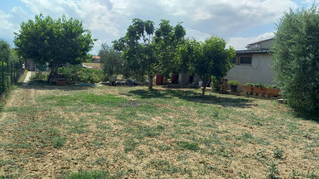 Terreno agricolo in vendita a Colli Del Tronto (AP)