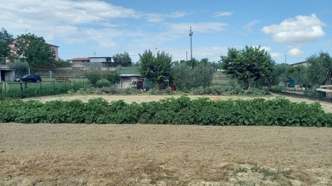 Terreno agricolo in vendita a Colli Del Tronto (AP)