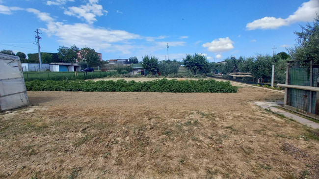 Terreno agricolo in vendita a Colli Del Tronto (AP)