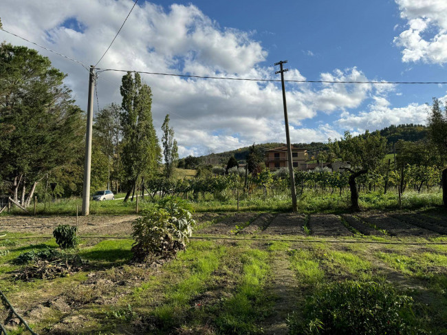 Casale Colonico in vendita a Servigliano