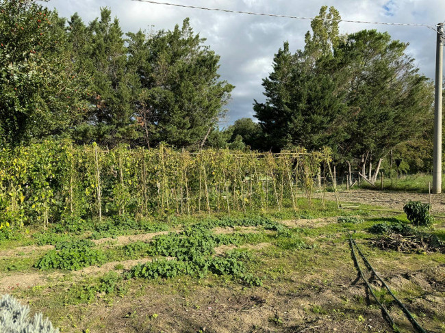 Casale Colonico in vendita a Servigliano