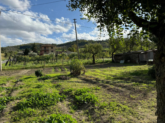 Casale Colonico in vendita a Servigliano