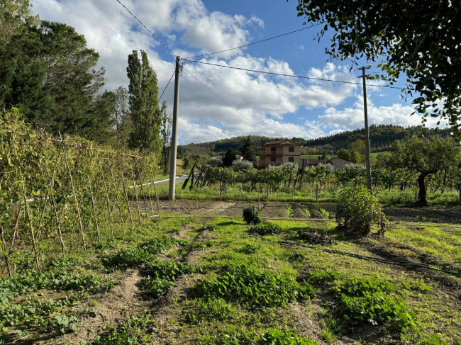 Casale Colonico in vendita a Servigliano