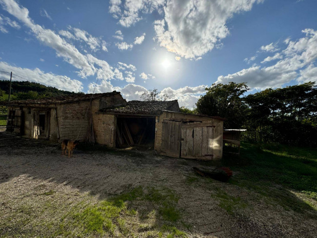 Casale Colonico in vendita a Servigliano