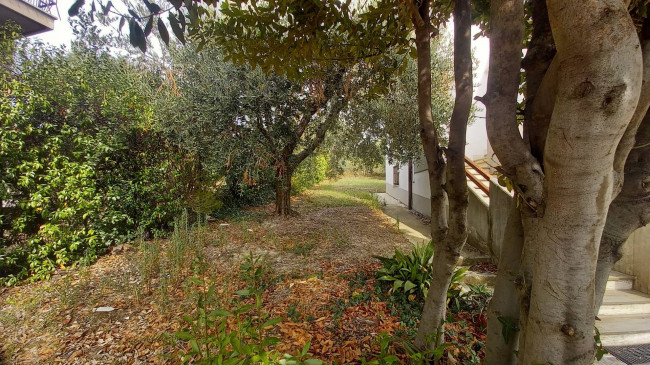 Villa in vendita a Colli Del Tronto (AP)