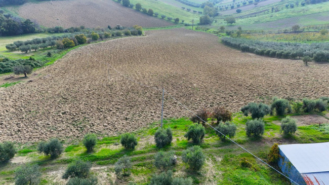 Terreno Edificabile Residenziale in vendita a Monteprandone