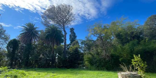 Villa in vendita a San Benedetto Del Tronto (AP)